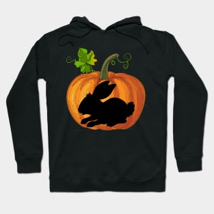 Bunny in pumpkin Hoodie